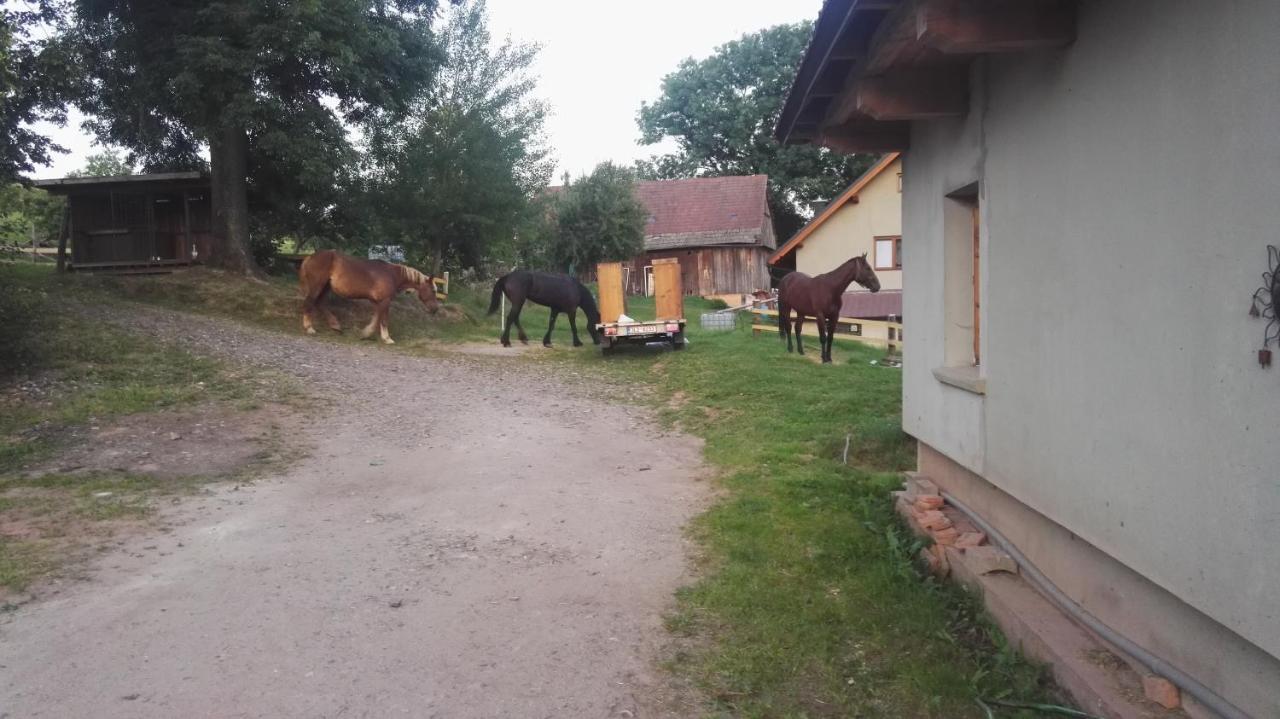 Farma Hermina Jilemnice Buitenkant foto