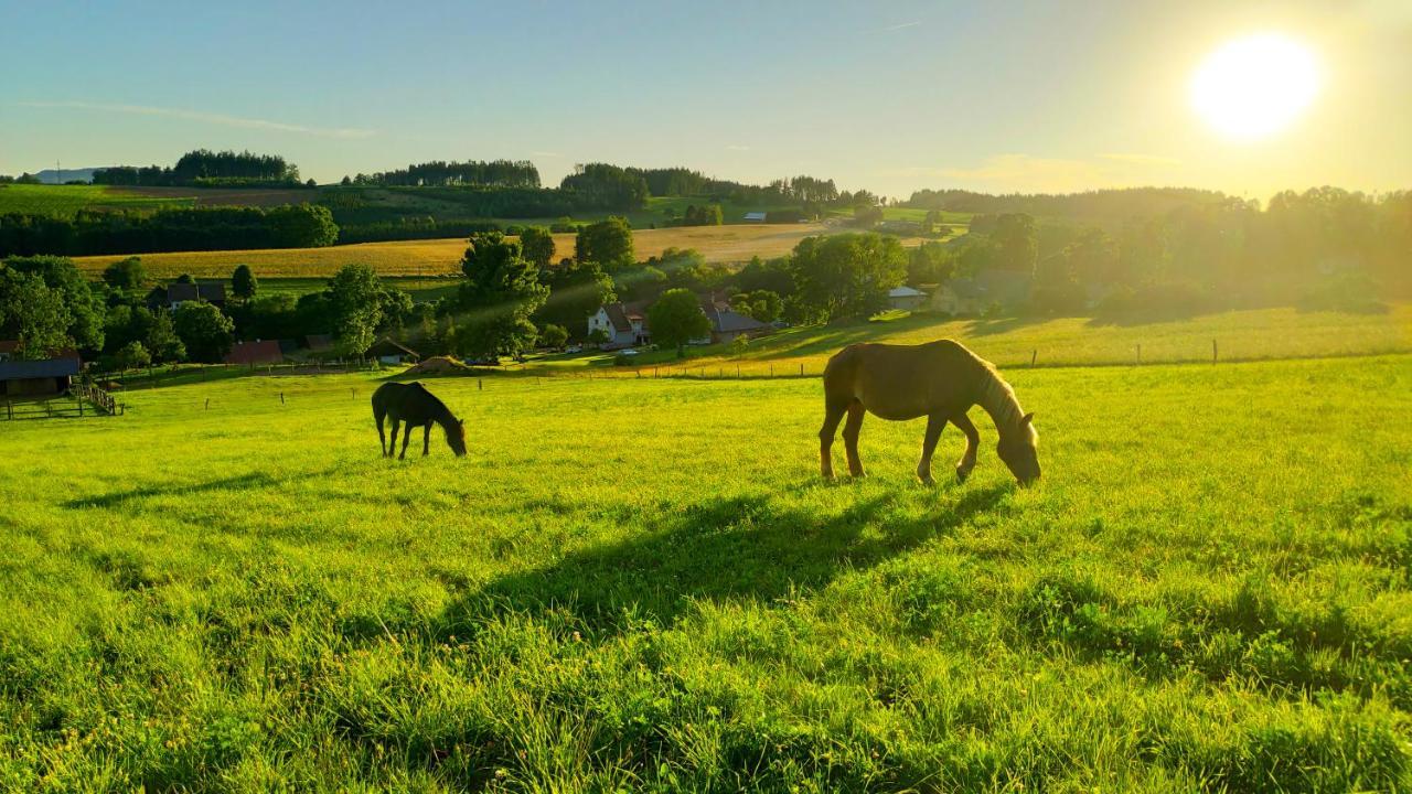 Farma Hermina Jilemnice Buitenkant foto