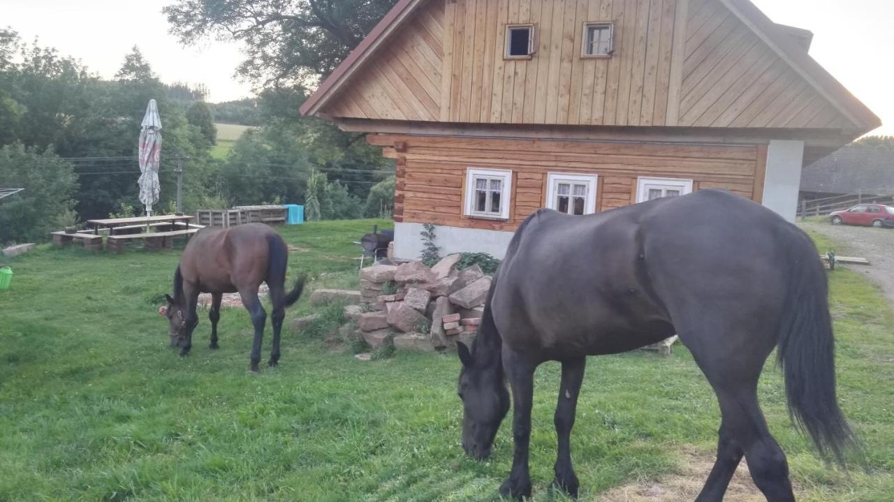 Farma Hermina Jilemnice Buitenkant foto
