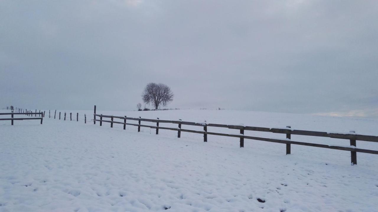 Farma Hermina Jilemnice Buitenkant foto